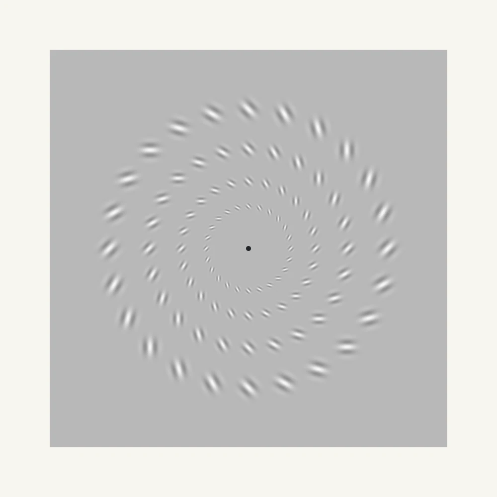 View: tilted, blurred stripe patches arranged in four rings. This stationary snapshot is at a scale of 1.00×.