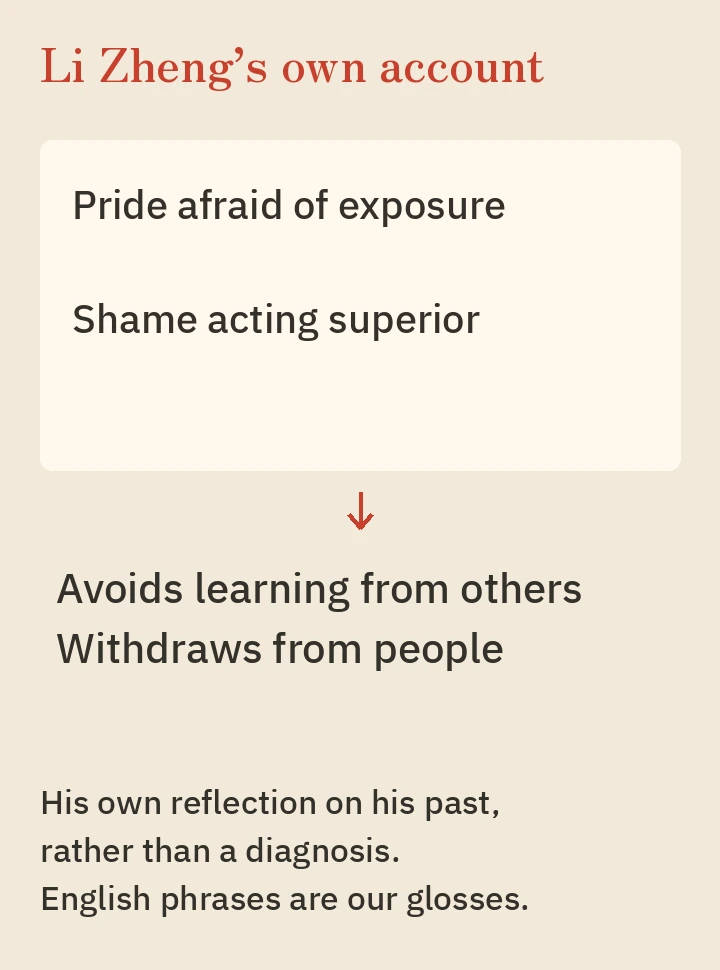 Li Zheng’s own reflections, rather than a diagnosis.