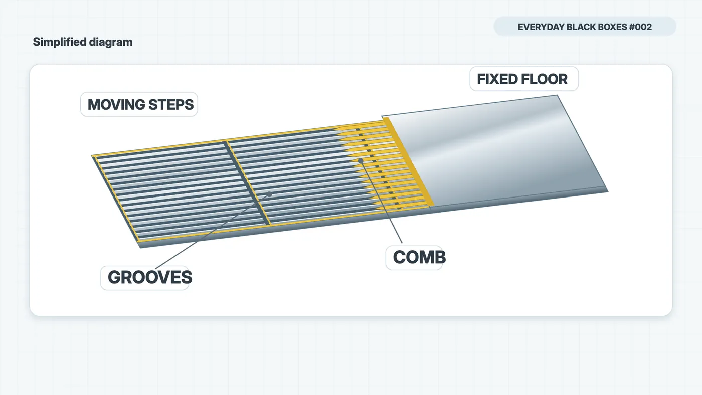 Close-up of grooves in moving steps engaging the yellow teeth of the comb at the edge of the stationary floor