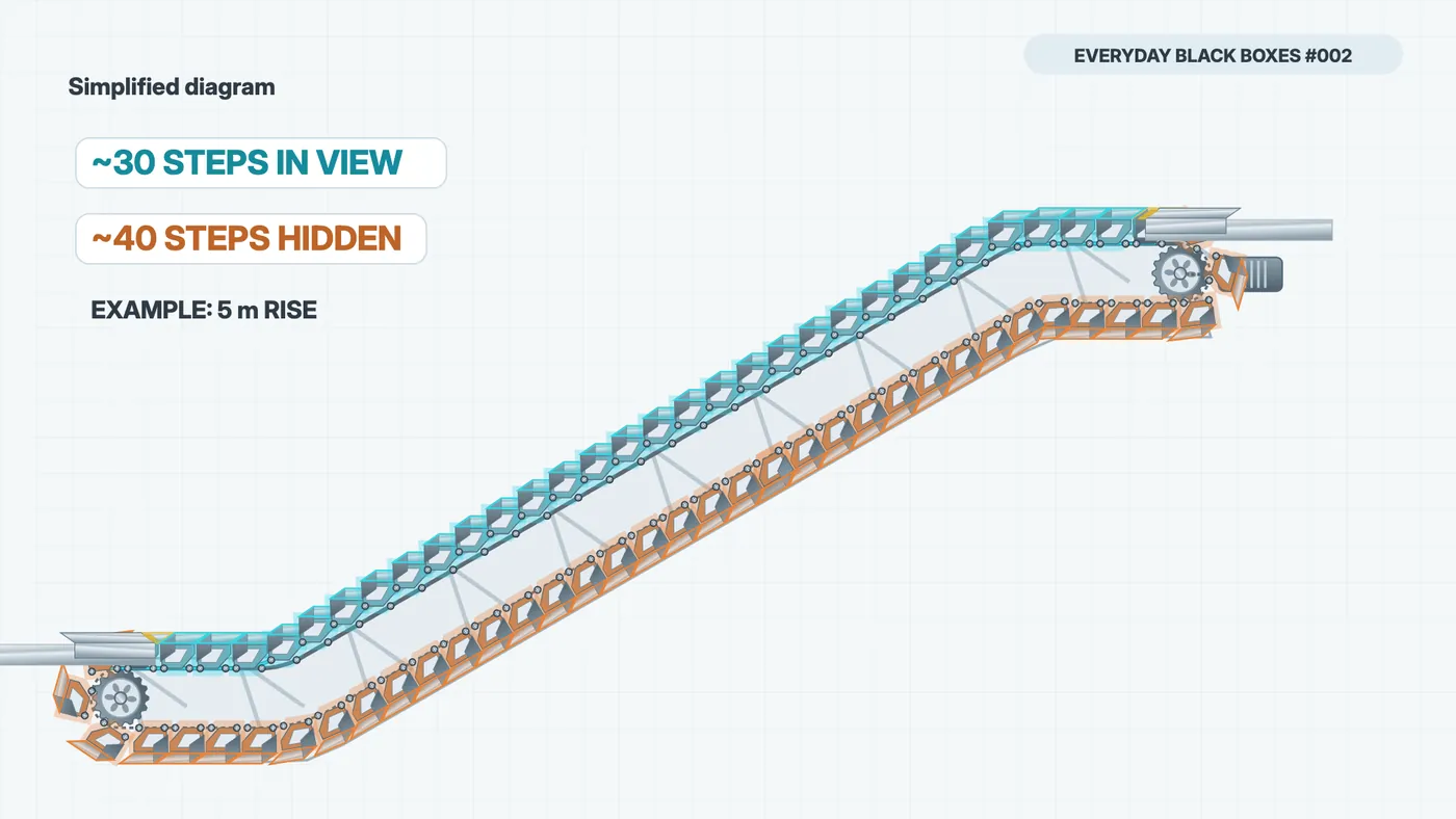 Visible steps highlighted in cyan and concealed steps highlighted in orange