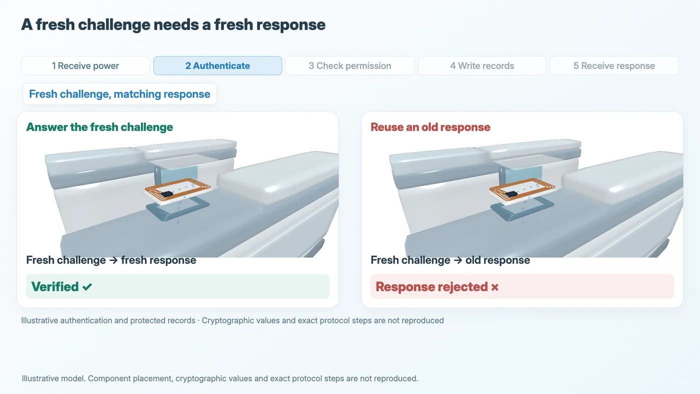 The left model answers the fresh challenge and is verified. The right reuses an old response and is rejected.