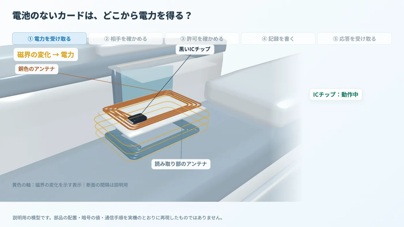 カードのアンテナが読み取り部の磁界の変化を受けて電力を得る立体断面。黄色の輪は説明表示。